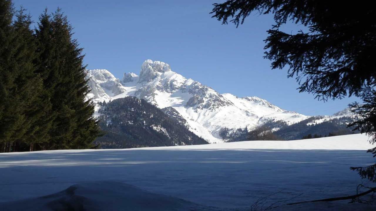 Berg Chalet Annaberg im Lammertal Eksteriør billede